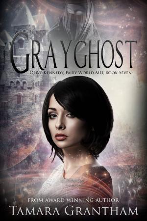 Cover of the book Grayghost by A.N. Stevens