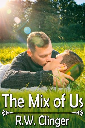 Cover of the book The Mix of Us by R.W. Clinger