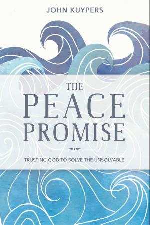 Cover of the book The Peace Promise by Tadhg O'Flaherty