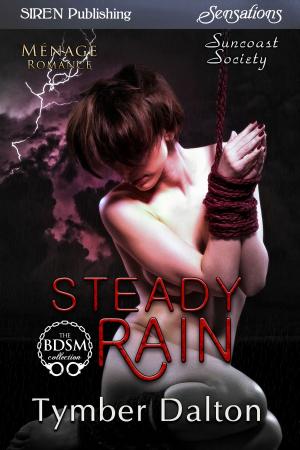 Cover of the book Steady Rain by Hannah L. Wing