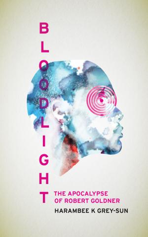 bigCover of the book BloodLight by 