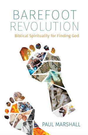 Cover of the book Barefoot Revolution by Therese Lisieux