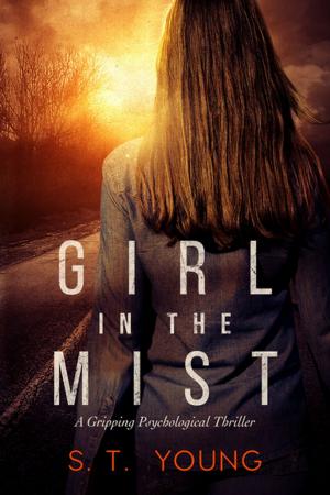 Cover of the book Girl in the Mist by Naima Simone