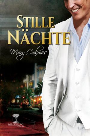 Cover of the book Stille Nächte by Jo Ramsey