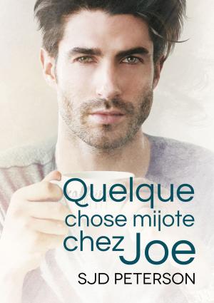 Book cover of Quelque chose mijote chez Joe