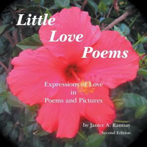 Book cover of Little Love Poems