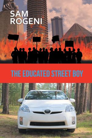 Cover of the book THE EDUCATED STREET BOY by Everett Todd Adams