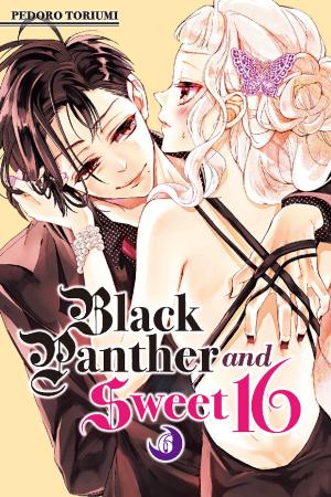 Book cover of Black Panther and Sweet 16