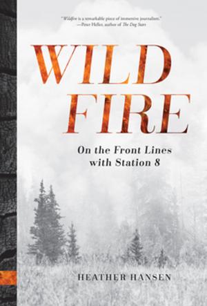 Cover of the book Wildfire by Lisa Maloney