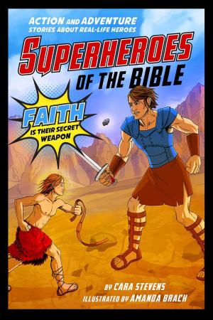 Cover of the book Superheroes of the Bible by Jayne Docherty