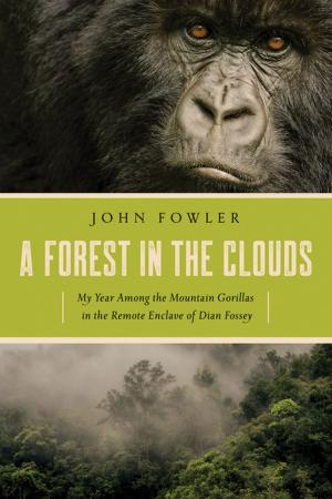 Cover of the book A Forest in the Clouds: My Year Among the Mountain Gorillas in the Remote Enclave of Dian Fossey by F. R. Tallis