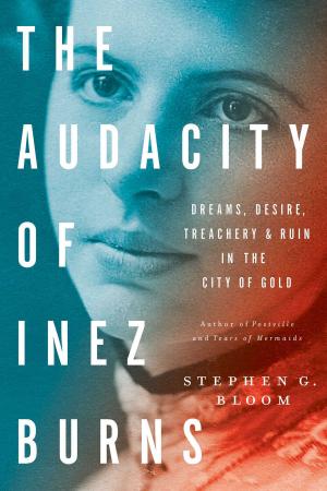 Cover of the book The Audacity of Inez Burns by Michele Oka Doner