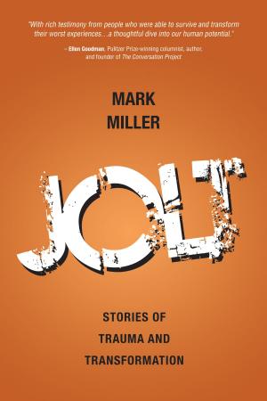 Cover of the book Jolt by John Moncure Wetterau