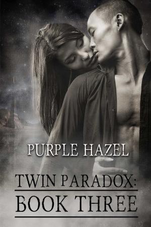 Cover of the book Twin Paradox by Christy Poff