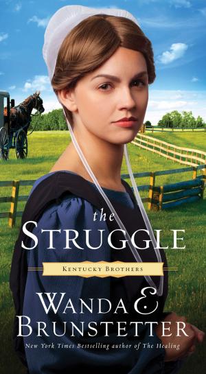 Cover of the book The Struggle by Kristin Billerbeck