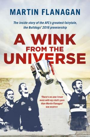 Cover of the book A Wink from the Universe by Maureen McCarthy