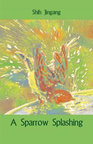 Cover of the book A Sparrow Splashing by Eric Van Horn