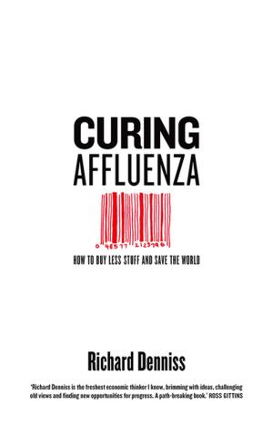 Cover of the book Curing Affluenza by Shakil Choudhury