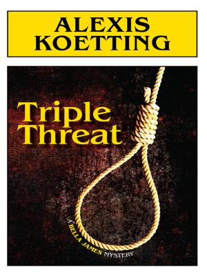 Cover of the book Triple Threat by Alexis Koetting