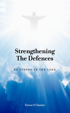 Book cover of Strengthening the Defences