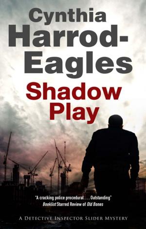 Cover of the book Shadow Play by Simon R. Green