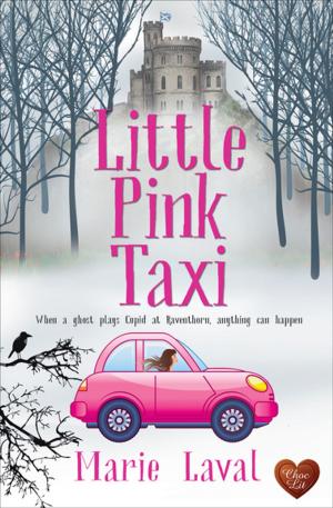 Book cover of Little Pink Taxi