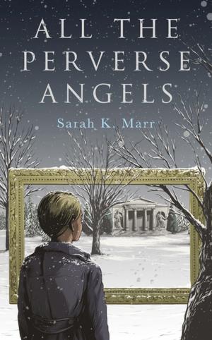 Cover of the book All the Perverse Angels by Sarah Pullen