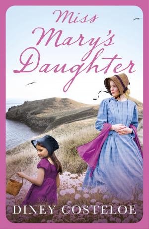 Book cover of Miss Mary's Daughter