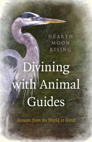 Cover of the book Divining with Animal Guides by Joanna van der Hoeven