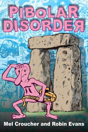 Cover of the book Pibolar Disorder by Jack Goldstein