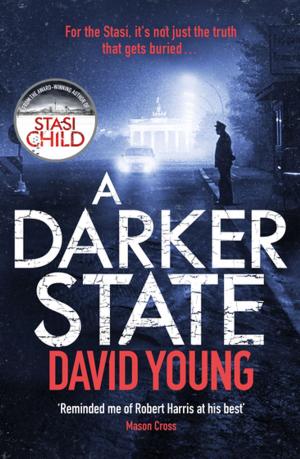 Cover of the book A Darker State by Laure Eve
