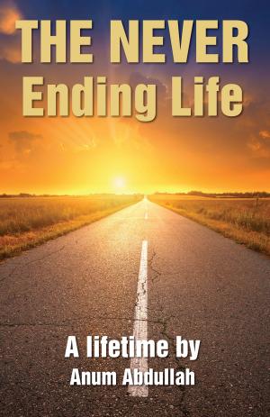 Cover of the book The Never Ending Life by Andi rubian