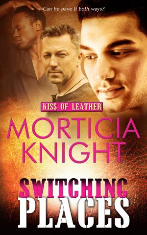 Cover of the book Switching Places by Valentina Heart