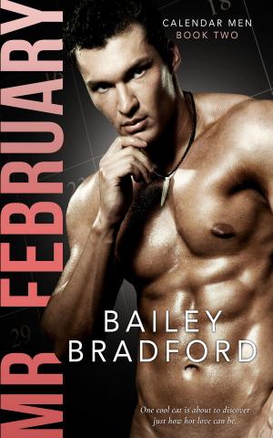Book cover of Mr. February