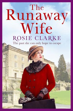 Cover of the book The Runaway Wife by Stefanie de Velasco