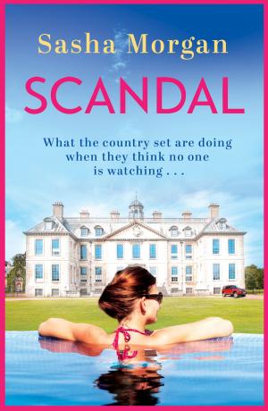 Cover of the book A Country Scandal by Nadine Dorries
