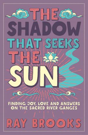 Cover of the book The Shadow That Seeks the Sun by Joseph Brassey