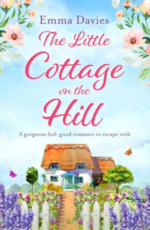 Cover of the book The Little Cottage on the Hill by C.J. Daugherty, Carina Rozenfeld