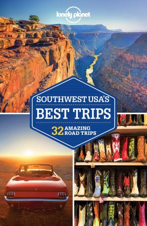 Book cover of Lonely Planet Southwest USA's Best Trips