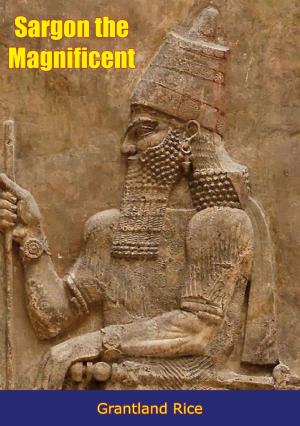 Cover of the book Sargon the Magnificent by Dr. William Stearns Davis