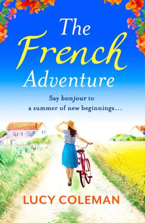 Cover of the book The French Adventure by Julia Kelly