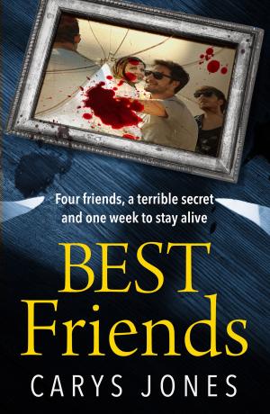 Cover of the book Best Friends by Lauren Westwood