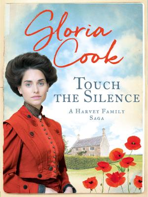 Book cover of Touch the Silence