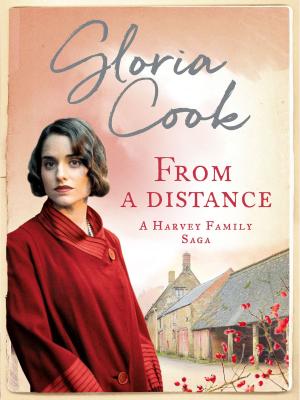 Cover of the book From A Distance by S.J.A. Turney