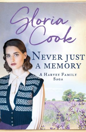 Cover of the book Never Just a Memory by Aislinn O'Connell