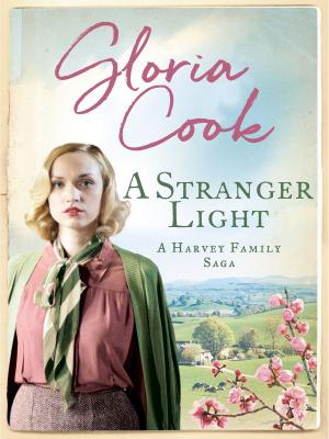 Cover of the book A Stranger Light by Lori Wilde