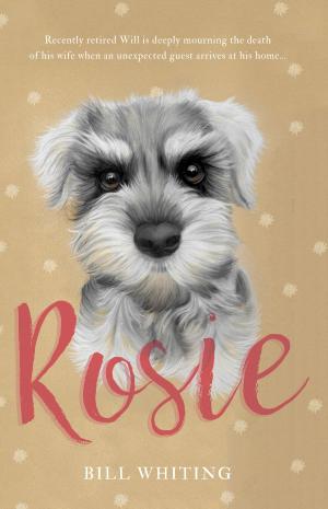 Cover of the book Rosie by John Winter