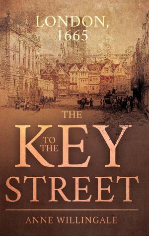Cover of the book The Key to the Street by Carol Wilson