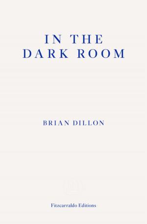 Book cover of In the Dark Room