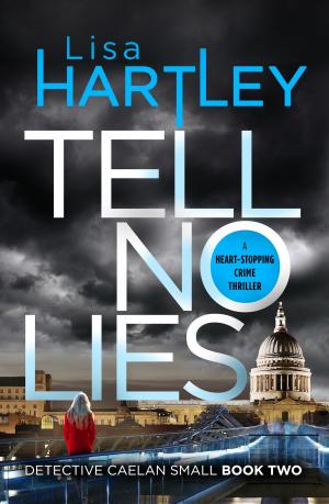 bigCover of the book Tell No Lies by 